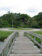 Scenic Bridge in park