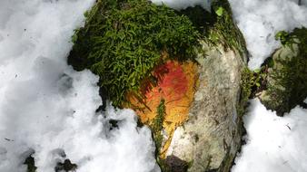 melting snow on rock, covered with moss