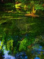 Therivers Ubuyama Kumamoto Water in Japan