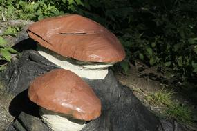 Mushrooms on stone Art