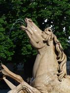 Residence Fountain horse sculpture