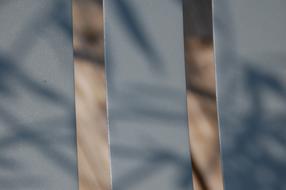 Close-up of the construction with bars, in shadows
