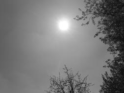 Sun Black And White Recording Rays