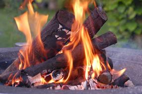 The Fiery Flame of Brasero