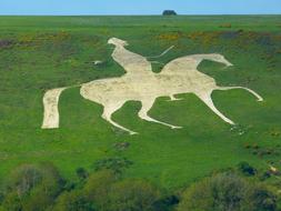 white Outline Horse Reiter