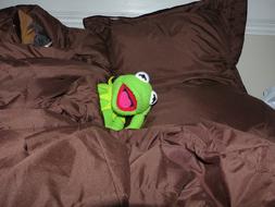 Cute and colorful Kermit frog sleeping in the brown bed