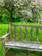 Bank Garden Bench