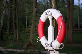 lifebuoy on the background of green trees