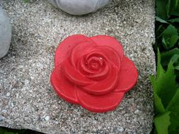 Red Rose on Concrete