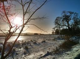 sunshine, winter field