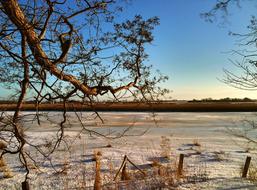 Horizon Snow