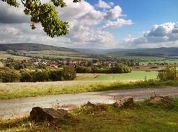 Autumn Golden in the countryside