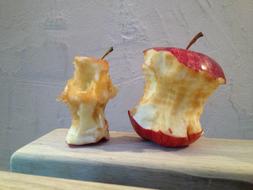 two Chewed Apples close up