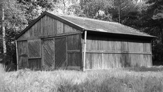 Black and white landscape with the hut, among the plants