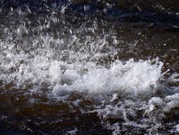 splashing in the fountain close up