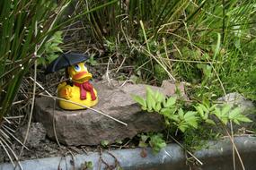 toy duck on a stone near the lake
