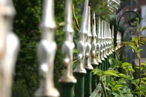 Close-up of the shiny, metal fence, among the colorful and beautiful plants, in sunlight