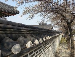 Republic Of Korea Fly Sheet roof