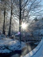 trees, canal, bridge, park, winter