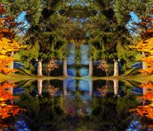 trees water lake autumn artificial