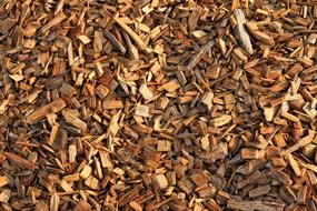 Wood Chips