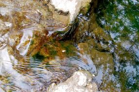 Water River Brooks Crystal