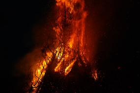 Fire Flame Burning woods