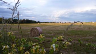 Haystack on Field Sky