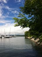 Green Trees and Boats in harbor