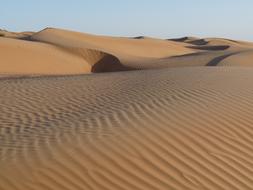 Desert Sand
