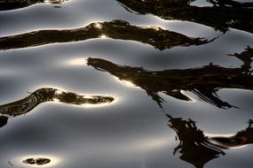 Water Mirroring sunlight