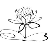 lotus flower line art drawing