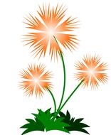 flower abstract spring drawing