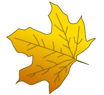 clipart of maple fall leaf