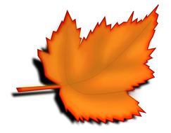 maple autumn leaf as clipart