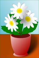 camomile pot drawing