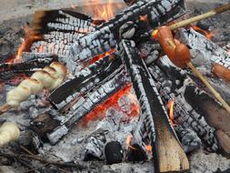 grilling Fireplace Barbecue