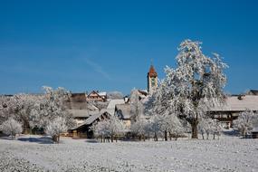 snowy landscapes in Brutten