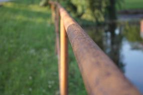 Close-up of the rusty, metal railing near the water, among the plants