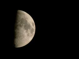 Moon Night