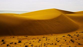 Sand Dunes Desert landscape
