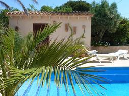 swimming Pool in Finca Mallorca