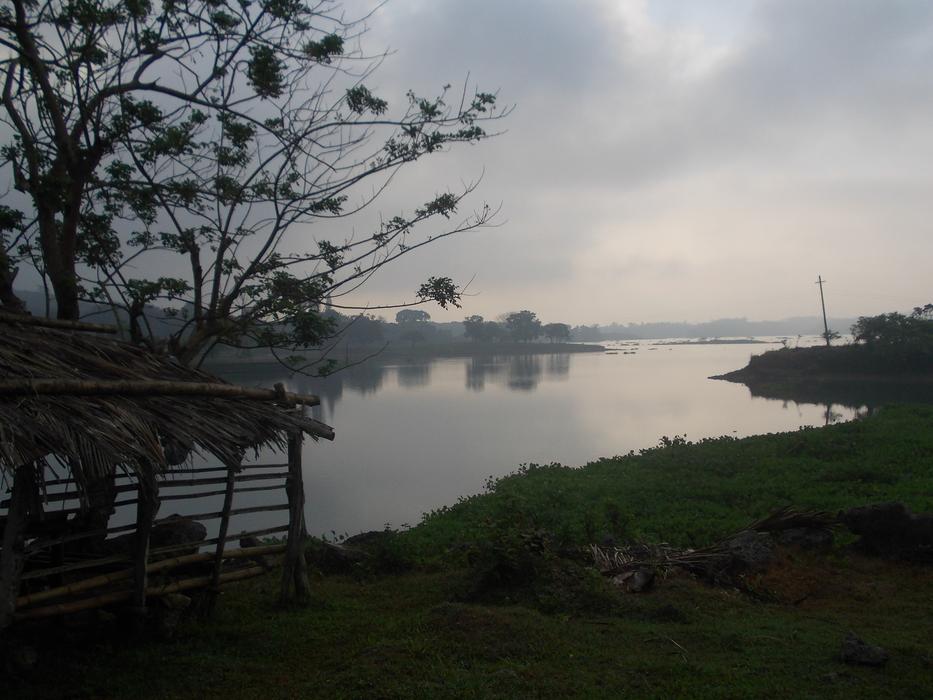 River Scenery Greens
