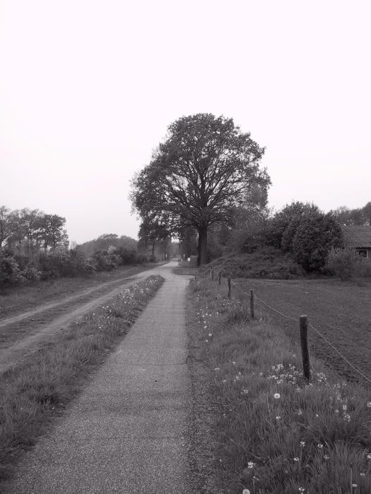 Agricultural Nutzweg Graze