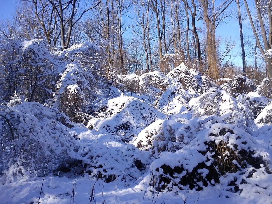 Winter Snow