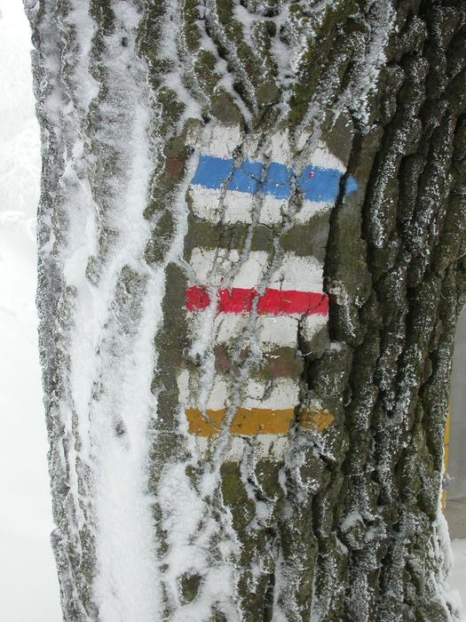 Directory Winter Snow