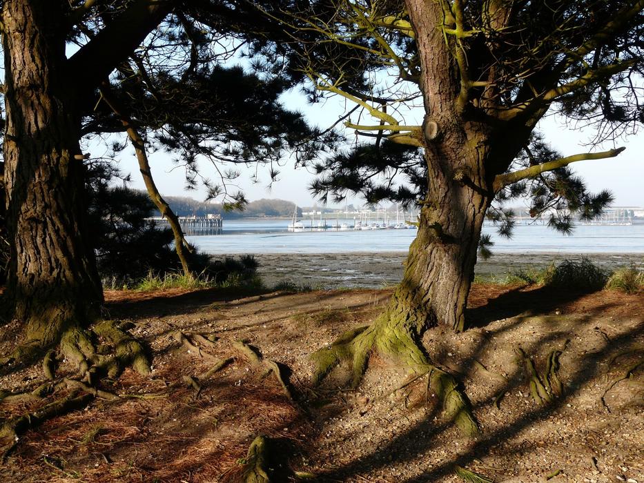 Portchester Wicor in Fareham Creek