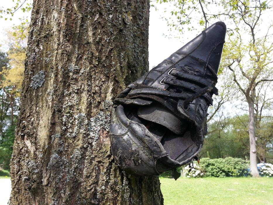 shoe on the trunk of a tree