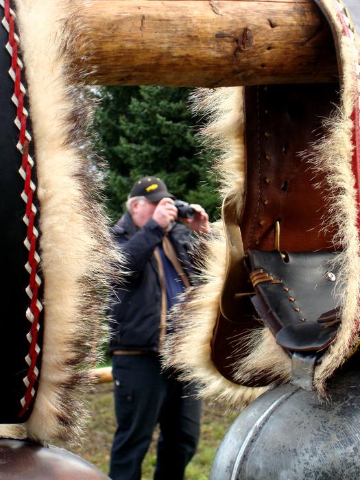 a photographer behind a fence at a cow show