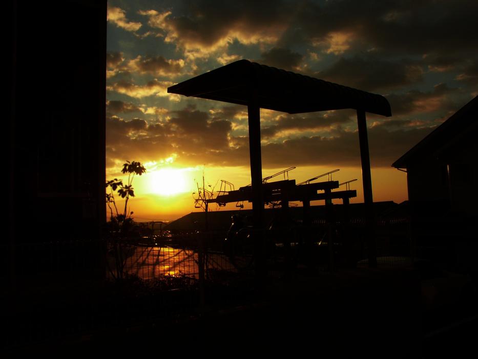 Own Train at Morning Glow Backlight